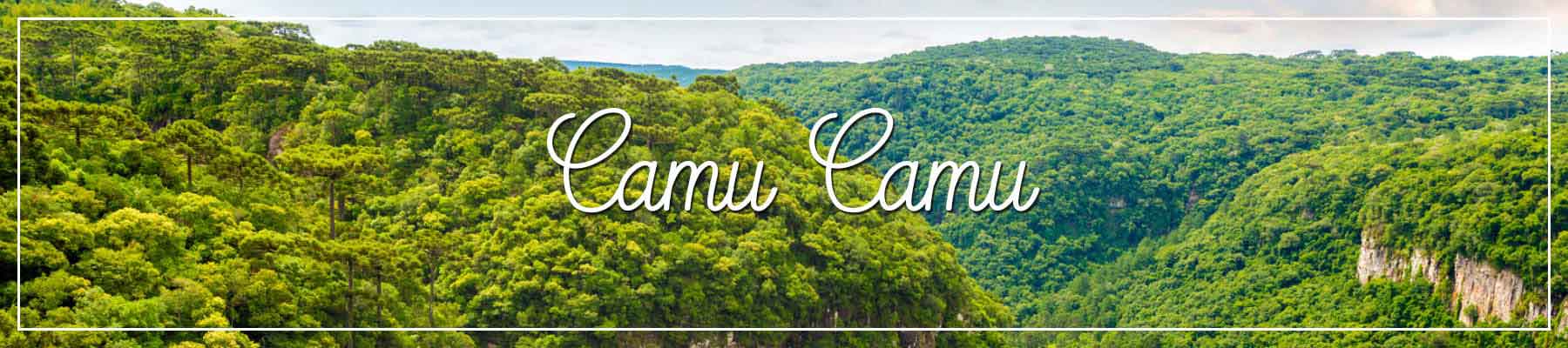 Camu Camu - Tal Peru